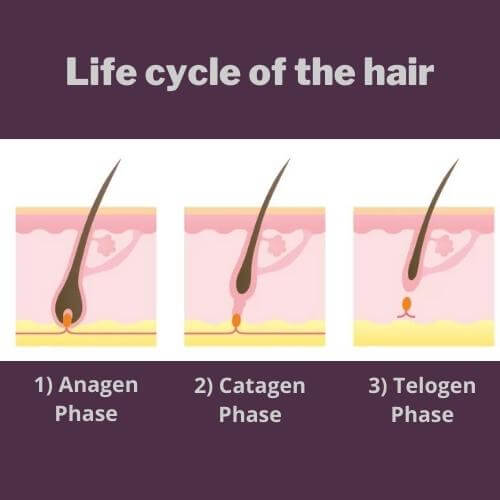 why the hair does not grow back with YAG laser