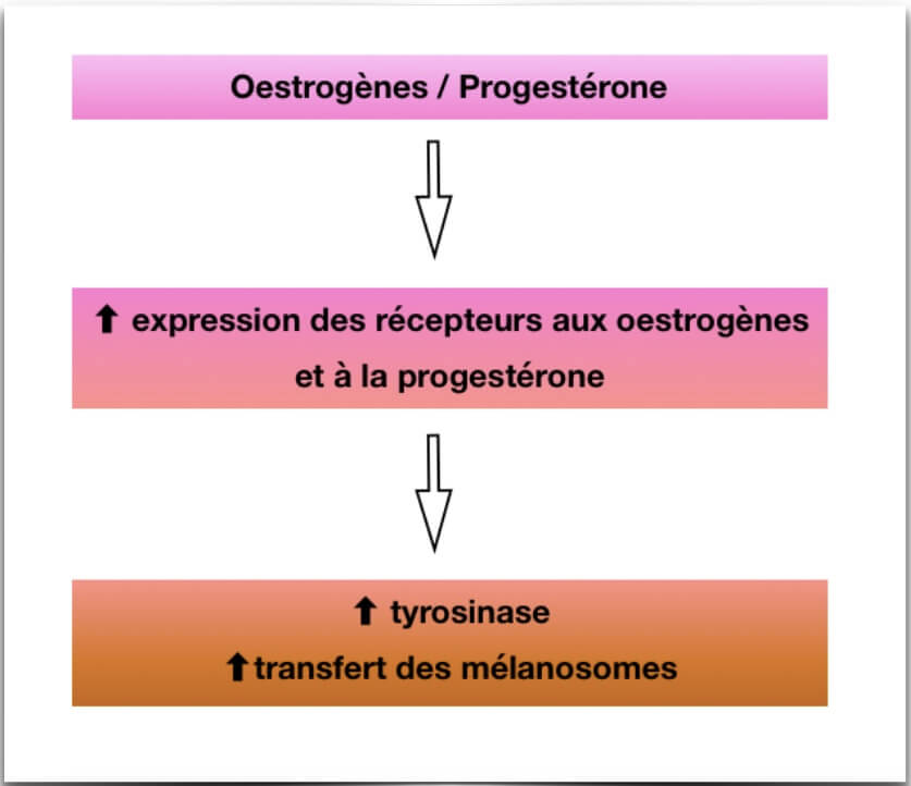 physiopathologie du mélasma