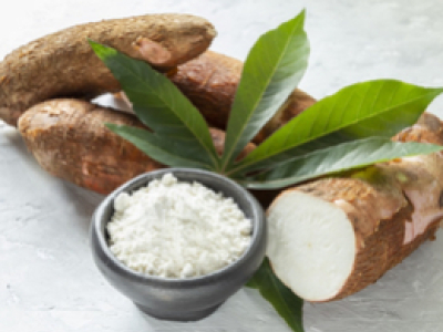 Tapioca Powder: a Natural Mattifying and Smoothing Active 