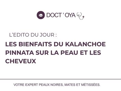 Kalanchoe Pinnata: Skin & Hair Benefits | Hydration, Repair, Anti-Aging